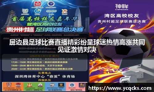 屏边县足球比赛直播精彩纷呈球迷热情高涨共同见证激情对决