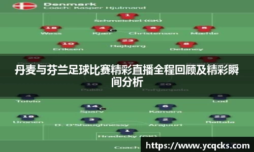 丹麦与芬兰足球比赛精彩直播全程回顾及精彩瞬间分析