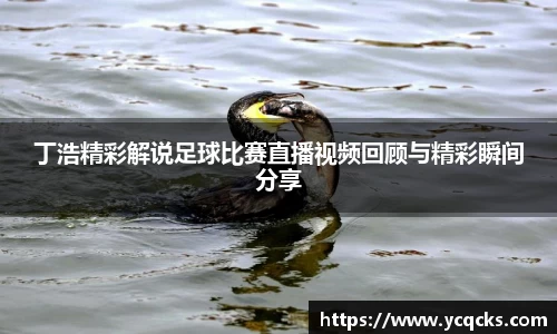 丁浩精彩解说足球比赛直播视频回顾与精彩瞬间分享
