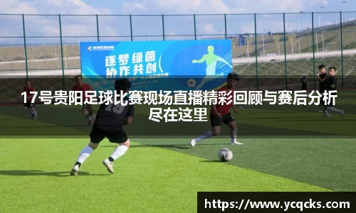 17号贵阳足球比赛现场直播精彩回顾与赛后分析尽在这里
