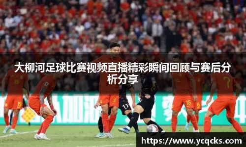 大柳河足球比赛视频直播精彩瞬间回顾与赛后分析分享