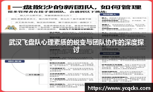 武汉飞盘队心理素质的蜕变与团队协作的深度探讨