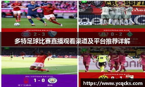 多特足球比赛直播观看渠道及平台推荐详解