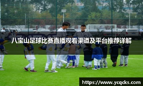 八宝山足球比赛直播观看渠道及平台推荐详解