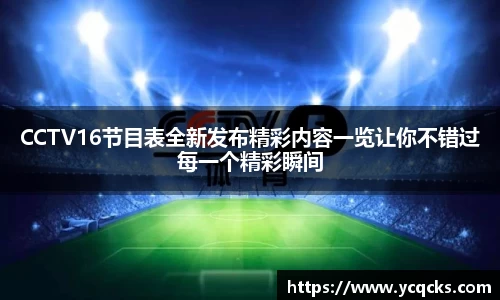 CCTV16节目表全新发布精彩内容一览让你不错过每一个精彩瞬间